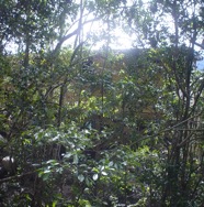 DSC03891.JPG