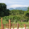 SANY0005.JPG