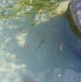 DSC00958