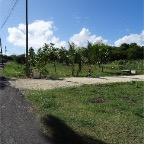 DSC06072