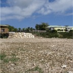 DSC01429