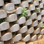 SANY0003.JPG