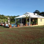 PA230012