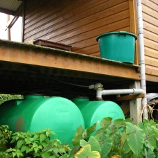 SANY0010.JPG