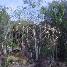 DSC03890.JPG