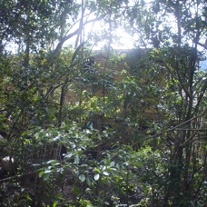 DSC03895.JPG