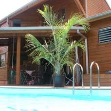 SANY0005.JPG