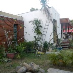 DSCN1780