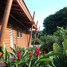 PA140032.JPG