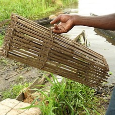 P-nasse-peche-nanga.JPG