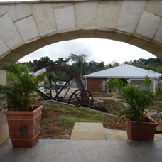 DSC01452.JPG
